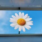 Profilaktika-i-obsluzhivanie-LED-ekranov_